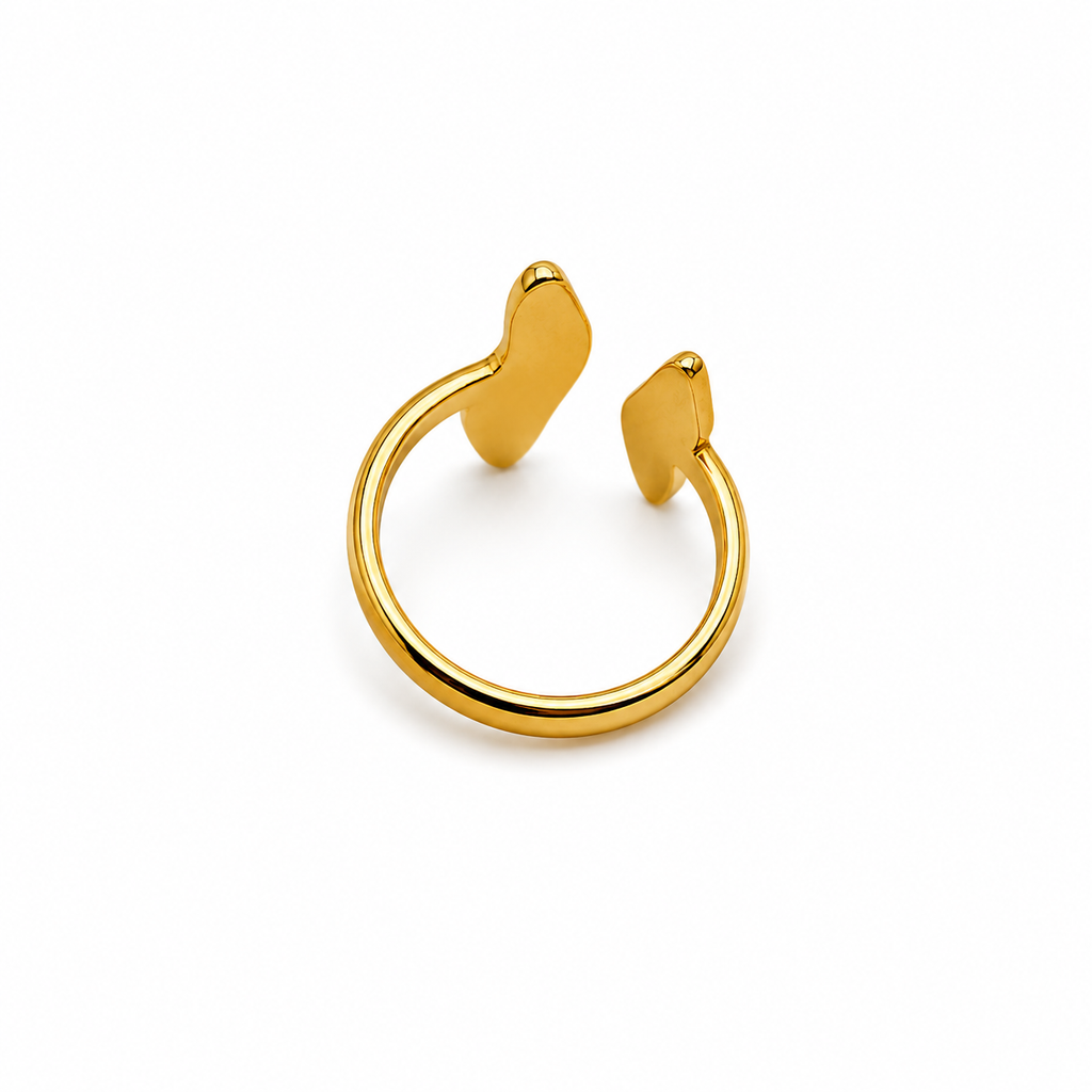 Unsigned - Dual shaped ring